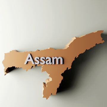 Assam Map 3d Rendered Illustration