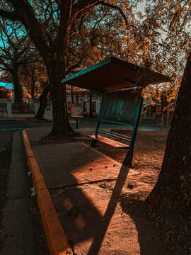 Urban photography of a bus stop without people in a city far from an urban area. Image of warm and cold colors. autumn concept.