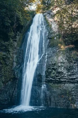 Fotobehang Handheld footage of waterfall in Tbilisi botanical garden © Philipp Berezhnoy