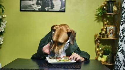 Funny dog/human with good manners at the dinner table