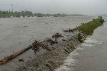 Fototapeta na wymiar Strong flood at the rhine river in Diepoldsau in Switzerland