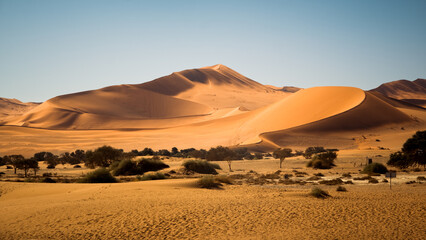 The Big Mama Dune on the eastern edge of the Sossusvlei pan, Namib-Naukluft National Park, Namibia....