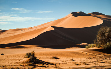 Dunes of the Namib desert in the Sossusvlei area, Namib-Naukluft National Park, Namibia. The Namib Desert is the oldest desert in the world. It also has the highest dunes, reaching 300-400 meters. - obrazy, fototapety, plakaty
