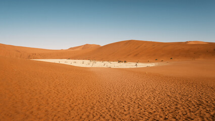 Panorama of Deadvlei in the Sousvlei area, Namib-Naukluft National Park, Namibia, A white pan...