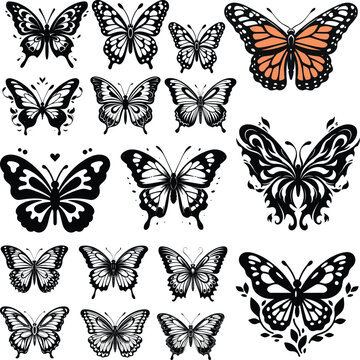 Butterfly monarch illustration vector wing summer