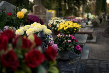 Fototapeta premium Flowers placed on graves at a cemetery, Poland, November 1 — All Saints' Day (also known as All Souls' Day / Day of the Dead)
