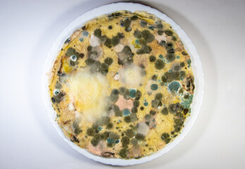A close-up with molds of different colors. Fungus of many types on a plate with food