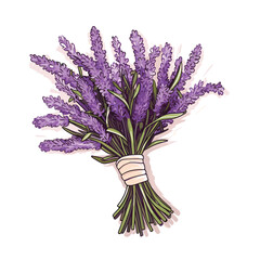 Obraz premium Hand Drawn Flat Color Lavender Flower Illustration