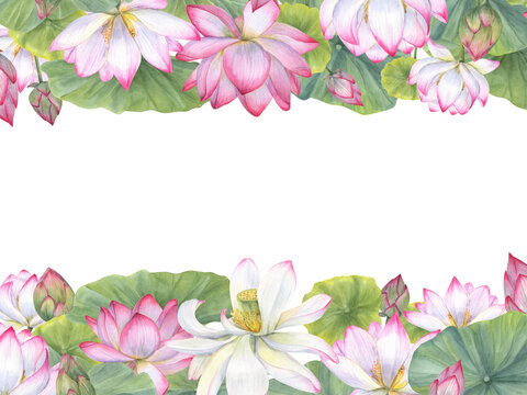 Rectangle frame with watercolor pink lotuses. Water Lilies, Indian lotus, green leaf, bud. Space for text. Floral hand painted illustration for Valentine day, wedding, birthday, mother day cards