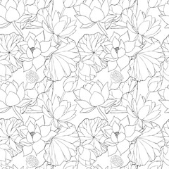 Seamless pattern with vector hand drawn lotus flowers and buds, huge leaves, black line art illustration. Outline floral drawing for packaging design, textiles, covers, scrapbooking, typography.