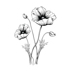 Hand Drawn Sketch Flower Illustration