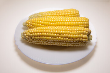 Closeup of corn kernels on plate isolated