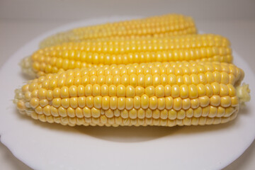 Closeup of corn kernels on plate isolated