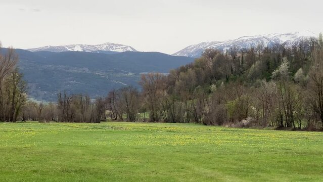 Campos de cultivo 