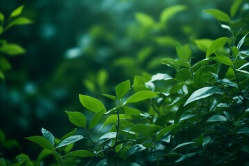 Blurry foliage backdrop with dense green leaves during summertime. Generative AI