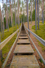Long wooden stairs in the forest on an autumn day. Tourist hiking route