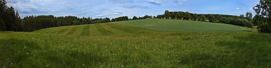 Landscape at the hiking trail from Jablonne nad Orlici to Orlicky, Usti nad Orlici District, Pardubice Region, Czech Republic, Europe
