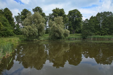 Fototapeta na wymiar Landscape at Jinosovske rybniky at Vlasim ,Czech Republic, Europe 