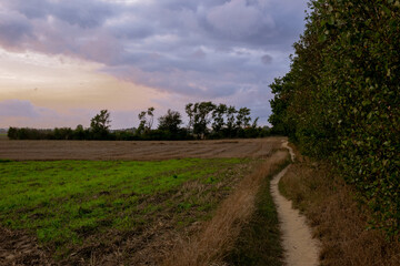 Landscape with a dirt road in the middle of the field.