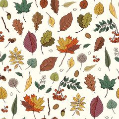 Autumn leaves vector seamless pattern.