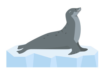 Sea lion or fur seal animal on ice. Sea or ocean water mammal animal. Arctic Northern Sealion icon. Vector flat or cartoon illustration.