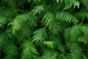 Fototapeta na wymiar Background of lush ferns. Generative AI
