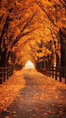 Autumn theme background, colorful leaves and fall mood