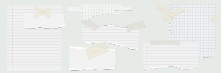 Lined whole sheet of paper and rip pieces with torn adges. Lined note. Notebook paper pieces with sticky tape stuck on gray. Blank mockup for text for presentation, advertising, website, apps. Vector