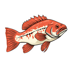 Hand Drawn Flat Color Fish Illustration