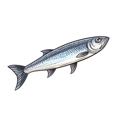 Hand Drawn Flat Color Sardine Fish Illustration