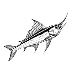 Hand Drawn Sketch Swordfish Illustration
