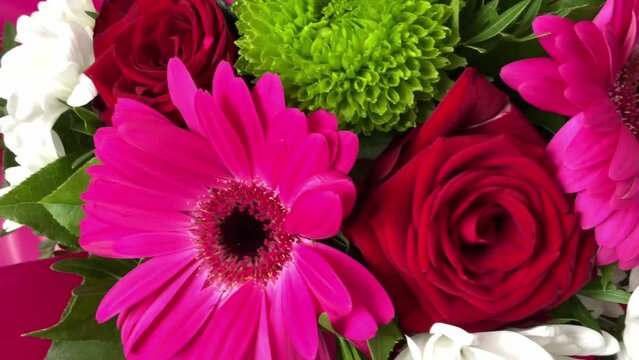 Beautiful fresh bouquet of colorful flowers. Red rose, pink bergera and white chrysanthemum. Floristry, gift, wedding and holiday decoration. Video footage motion