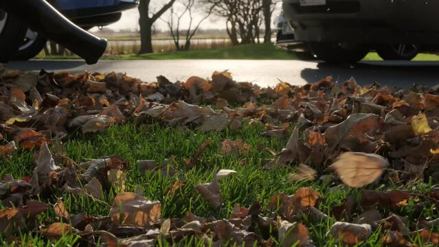 Slow motion footage of Man blowing leaves in yard in autumn season. Close up