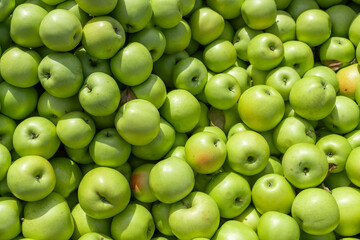 fresh green apple as fruit background