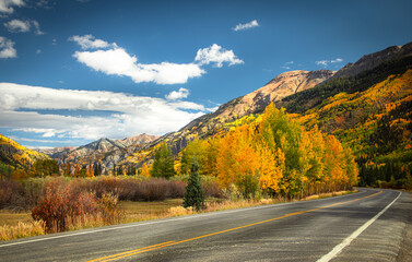 Colorado season change with aspen and elm color change in the Rocky Mountains. The variety of...