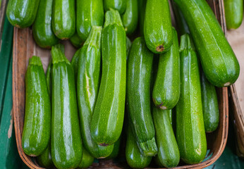 close up on fresh zucchini vegetable