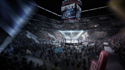 Sport arena with fans and shining spotlights. Fighting Championship. Full tribune. MMA octagon. Digital sport 3D. MMA cage night. Fight night © Ruslan Shevchenko