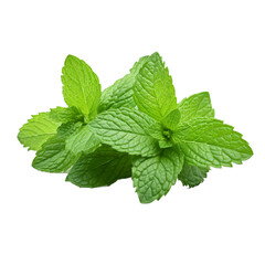 fresh bunch of mint isolated on white background, ai generated