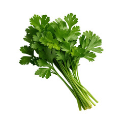 fresh parsley isolated on white background, ai generated