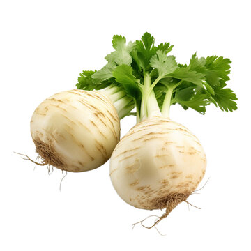 fresh celeriac isolated on white background, ai generated