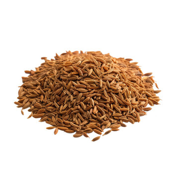 fresh cumin isolated on white background, ai generated