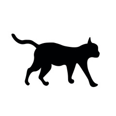 Silhouette of black cat on white background