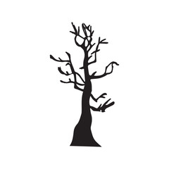 Bare tree on white background