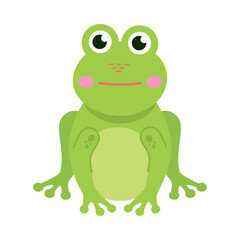 green frog illustration