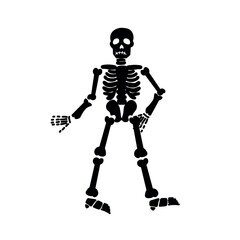 Drawn skeleton on white background