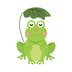 cute frog illustration