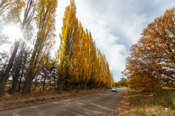 Paisaje de otoño