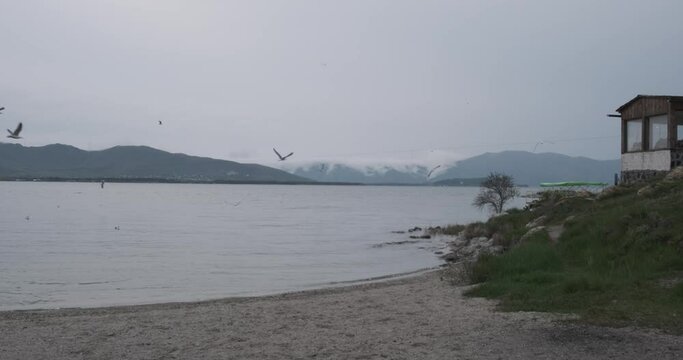 Witness a mesmerizing sight as a multitude of seagulls gather along the shores of Lake Sevan in the mountains, creating a captivating scene of nature's abundance.