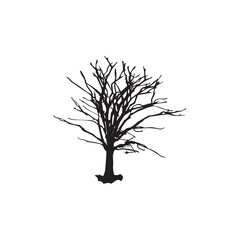 Creepy tree on white background
