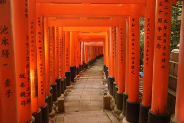 Fushima Inari-Schrein (der Schrein der Tausend Tore) - obrazy, fototapety, plakaty